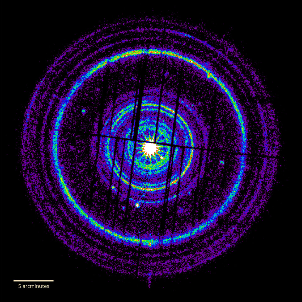 XMM-Newton captured dust rings from gamma-ray burst 221009A