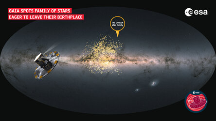 Gaia spots odd star family